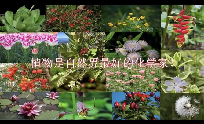6f283e323d5e43edb26e321f40d65287.png 6f283e323d5e43edb26e321f40d65287.png